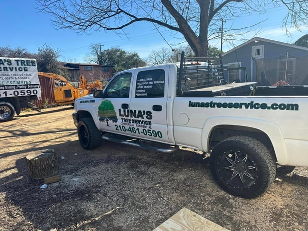 Images Luna's Tree Service