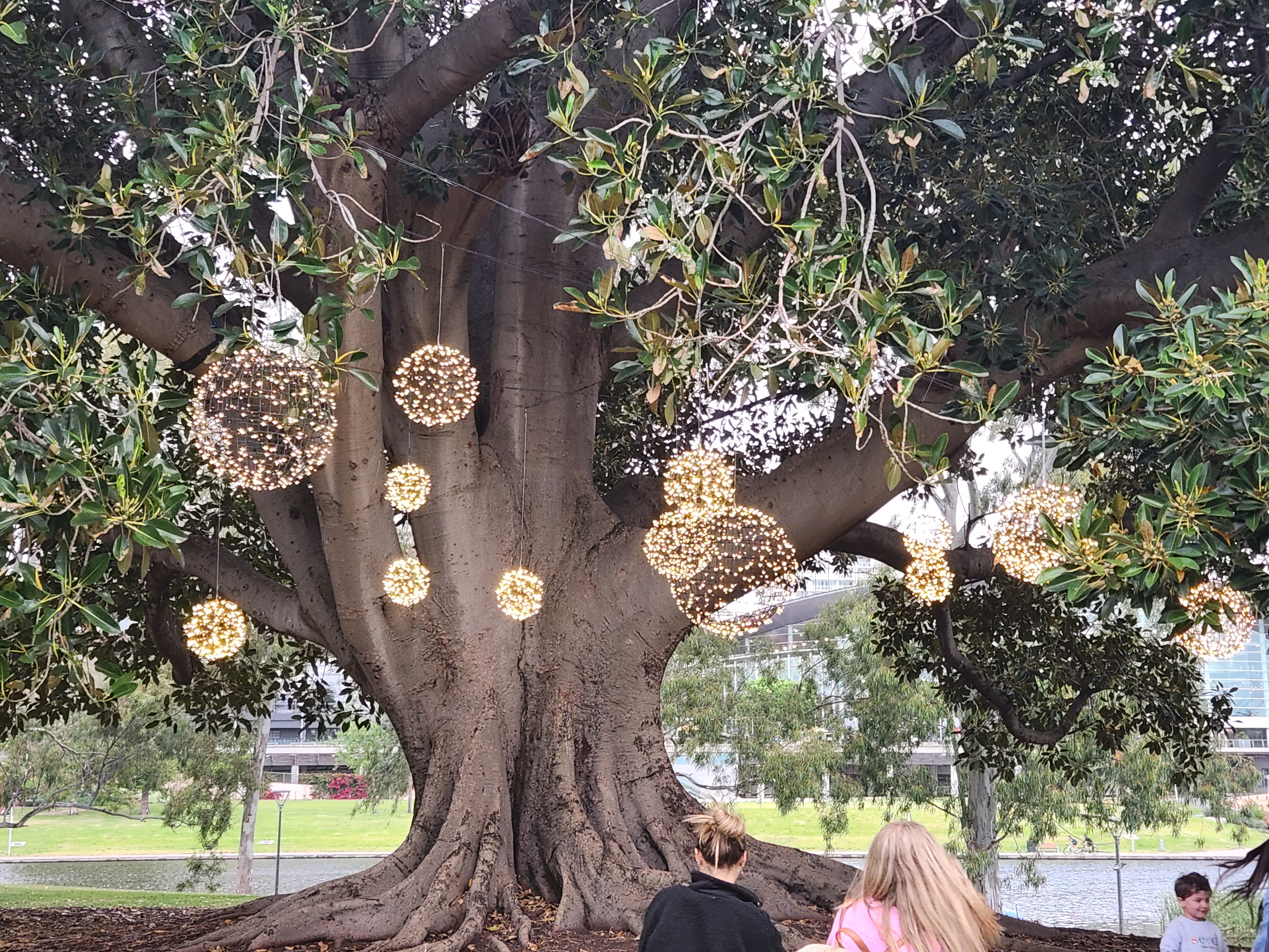 Images Apollo Lighting Service