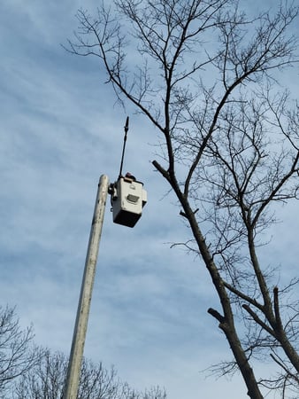 Images Fine Cut & Trim