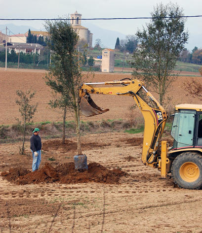 Foto de Excavacions Andreu Sant Andreu Salou