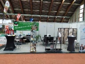 Hypnose Institut Rilaxx, Dammgasse 26 in Klagenfurt am Wörthersee