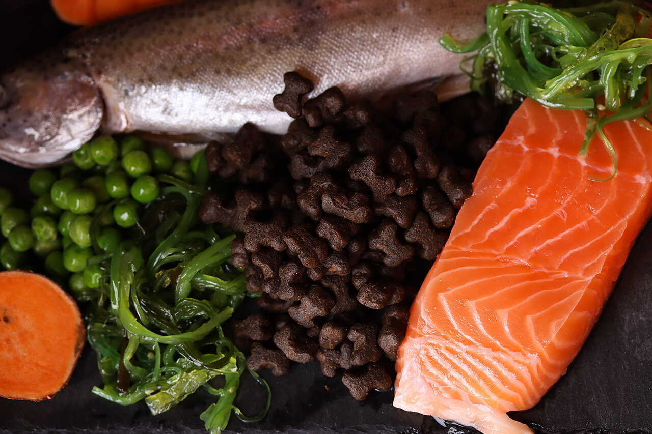 Bilder Green Pet Shop