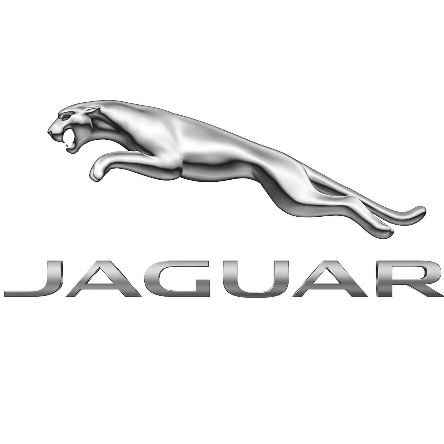 ジャガー横浜 Logo