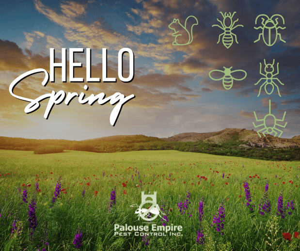 Images Palouse Empire Pest Control