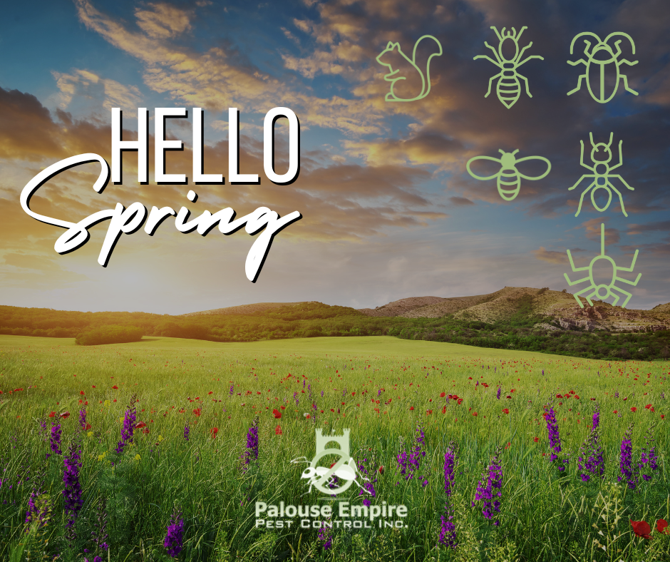 Spring Pest Control - Palouse Empire Pest Control in Colfax, WA