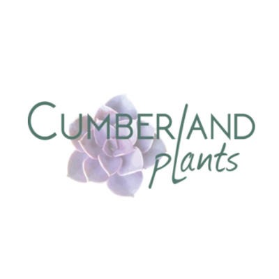 Cumberland Plants Logo