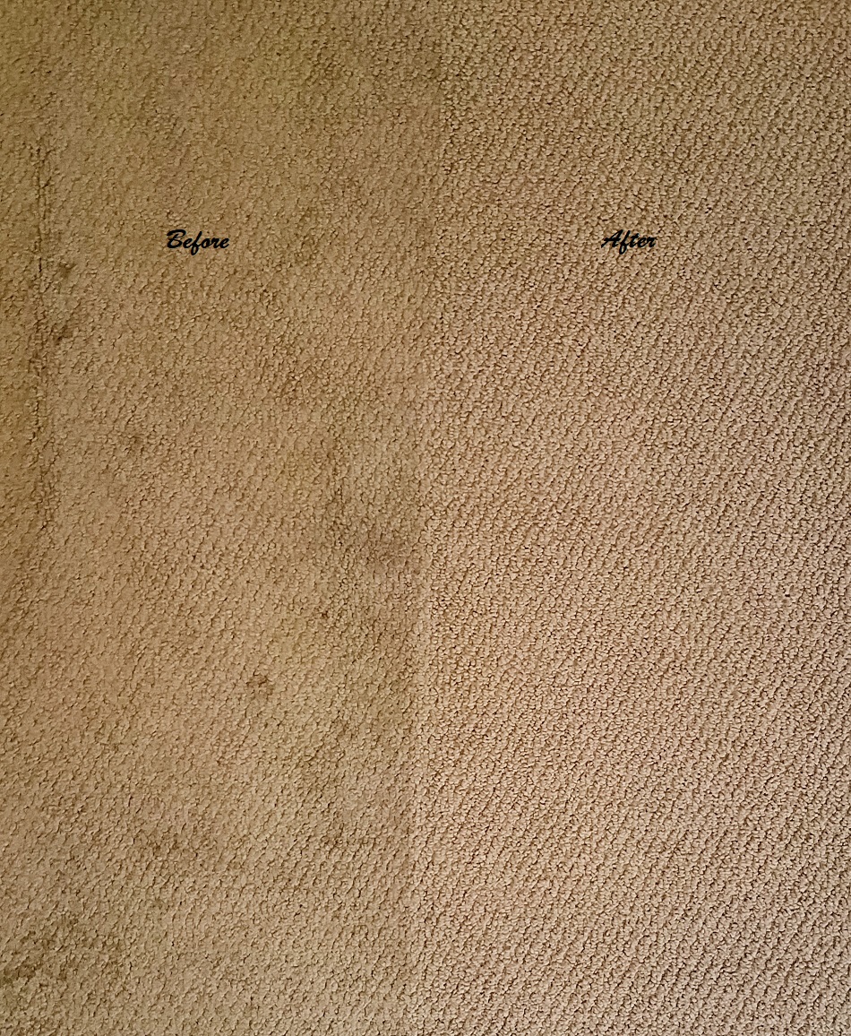 Leona's Carpet, Tile, & Upholstery Cleaning Photo