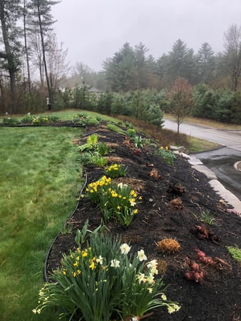 Images Greenleaf’s Garden Design