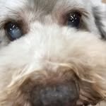 Images たまとポチ 宇津木店