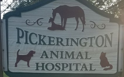 Images Pickerington Animal Hospital