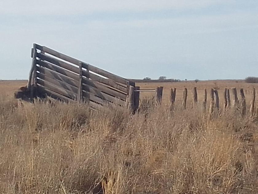 Images Inmobiliaria Virtual