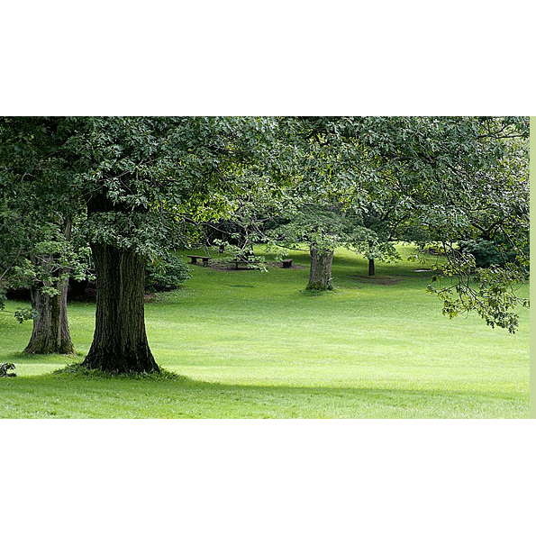 Lawns by the Best