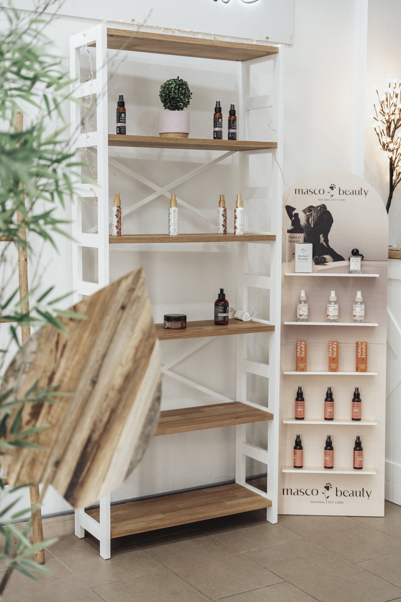 Images The Black Poodle Groom & Care S.L.