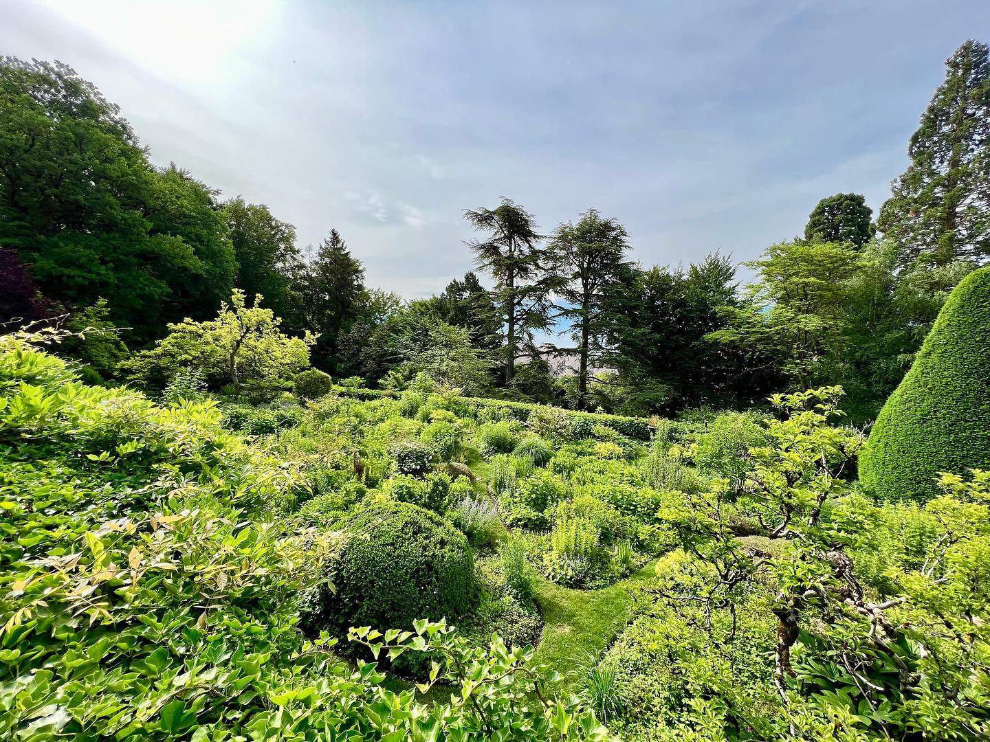 Bilder Green and Co Paysages Sàrl