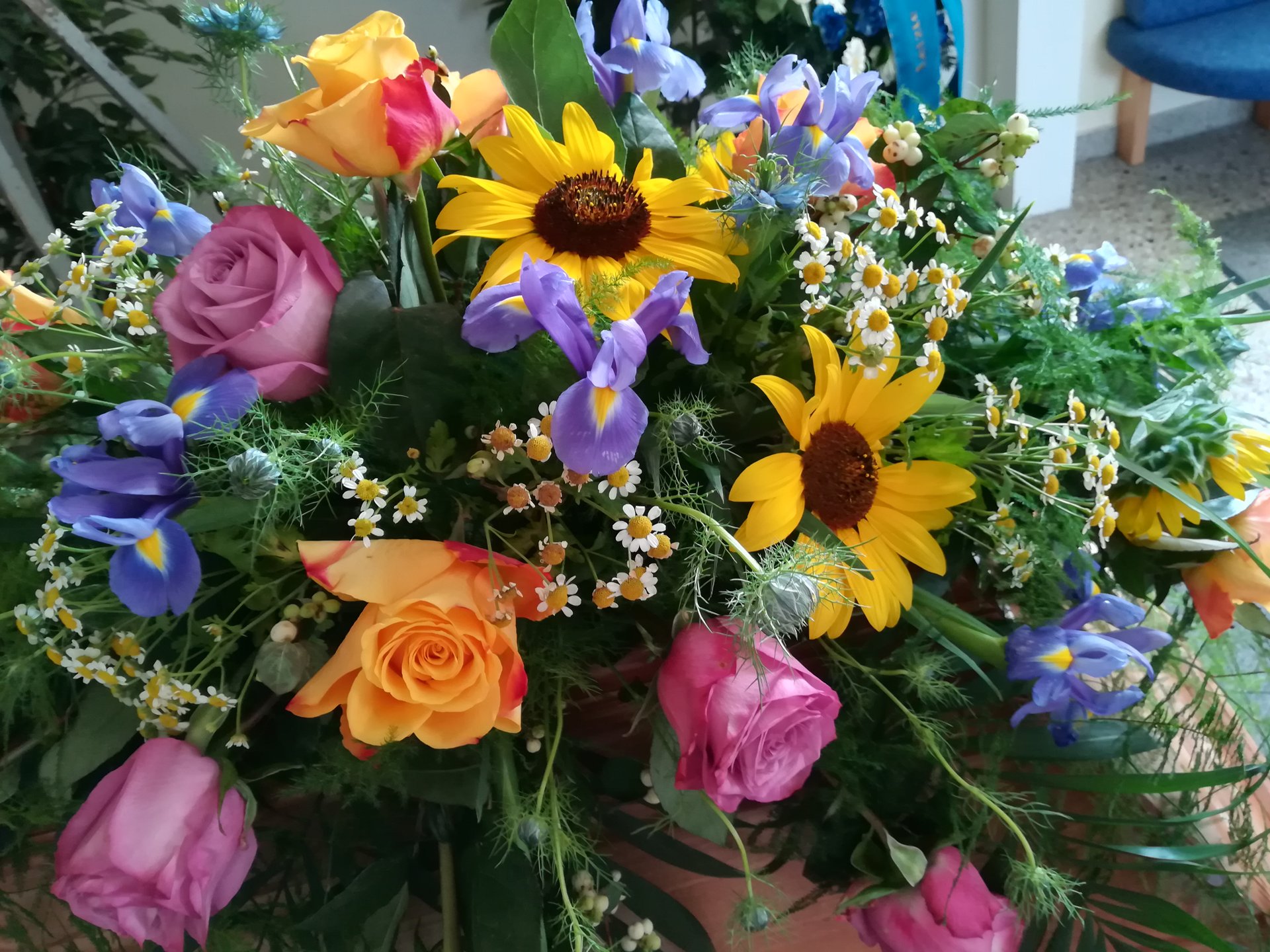 Bild 4 von Blumen Weiss