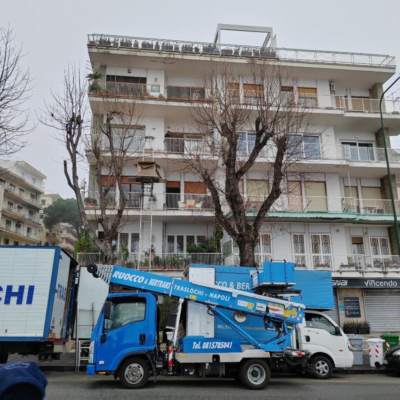 Images Ruocco & Bertrans Srl - Traslochi Napoli