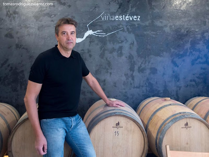 Images Bodega Viña Estévez