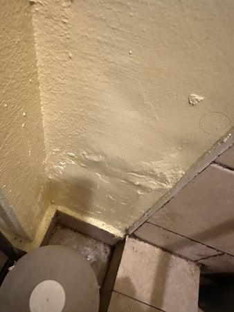 Images 24H Mold Inspection of Sherman Oaks