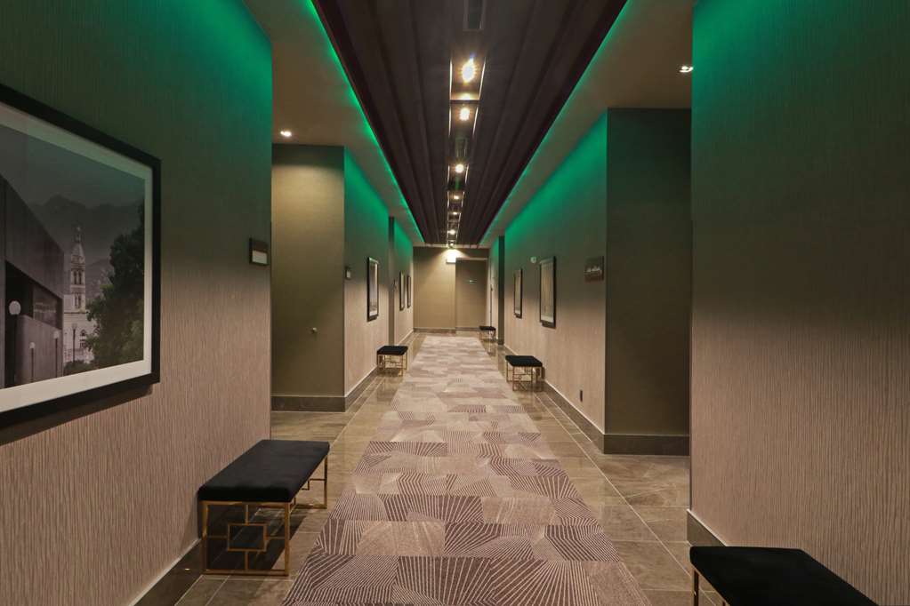 Images Hilton Garden Inn Monterrey Obispado