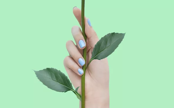 Gallery thumbnail