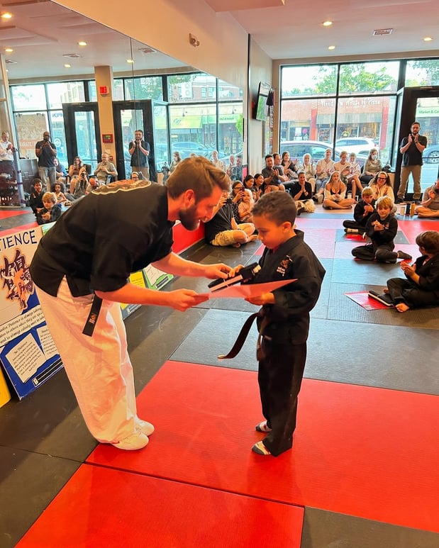 Images SDSS Martial Arts of Newton