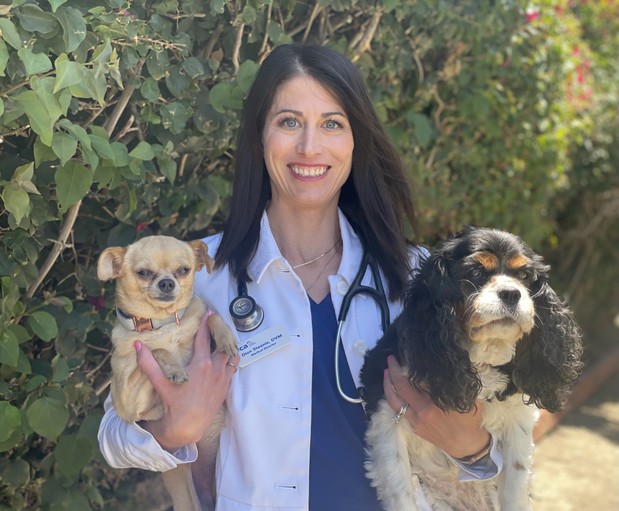 Images VCA Laguna Niguel Animal Hospital
