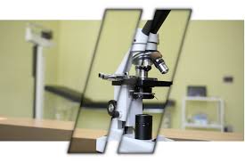 Images Studio di Nutrizione Clinica Nutrilaber