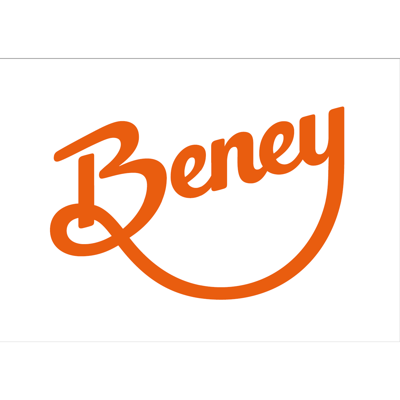 Beney & Fils Sàrl Logo