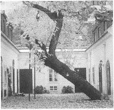 Bild 6 von Daphne's Studio