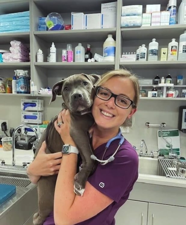 Images Shrewsbury Animal Hospital