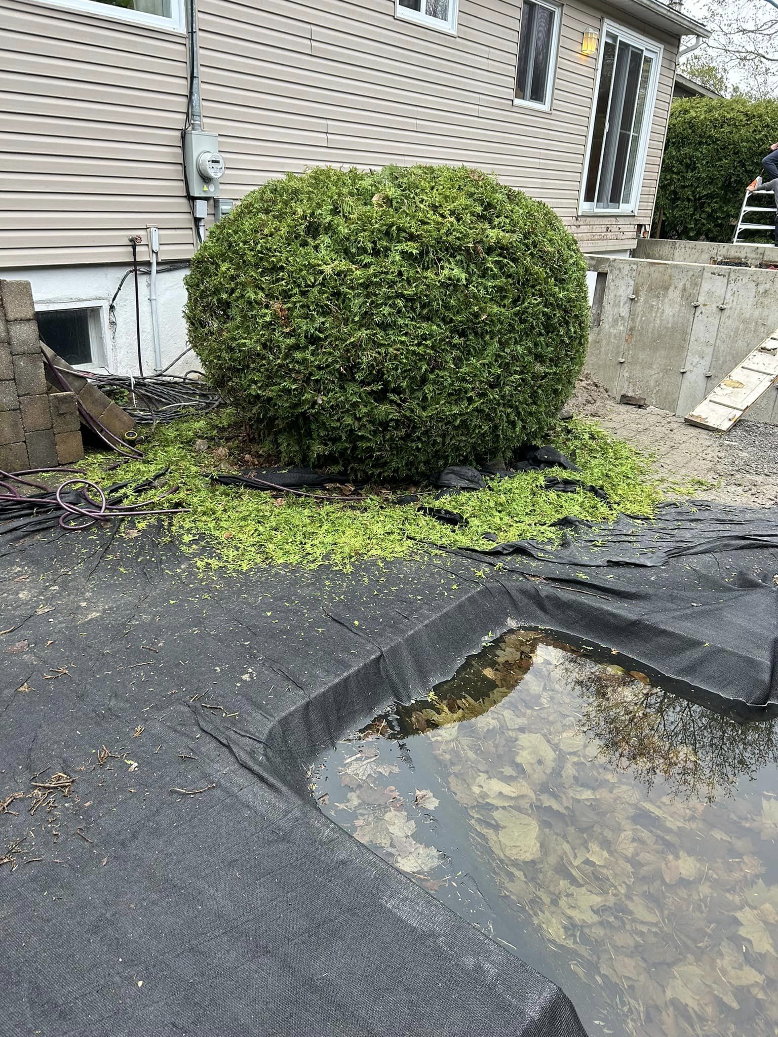 Images Taille de haie EB - Entretien de haie Saint-Hyacinthe