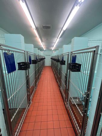 Images VCA Noah’s Place Animal Medical Center