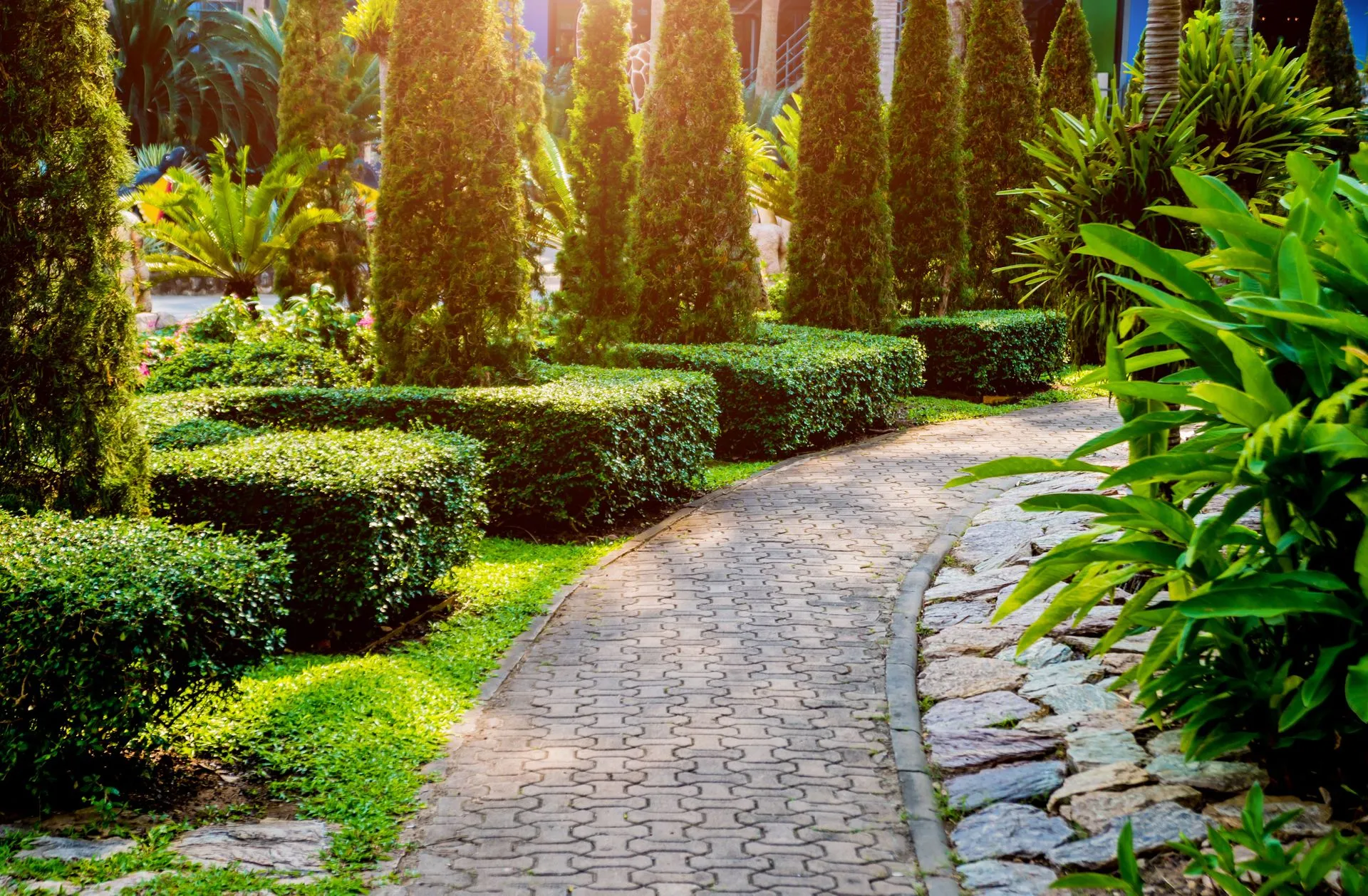 Abarca Landscape Image