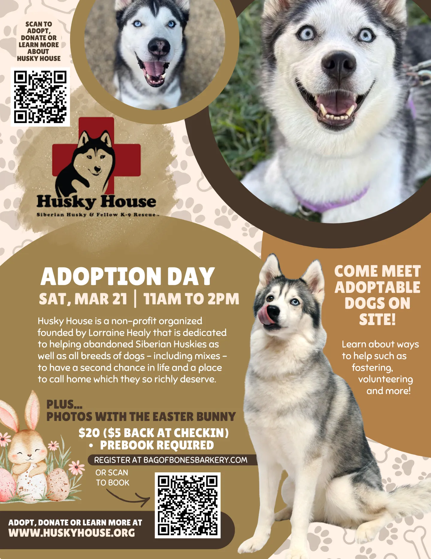Image of Local Pet Event Husky House Adoption Day Nearby