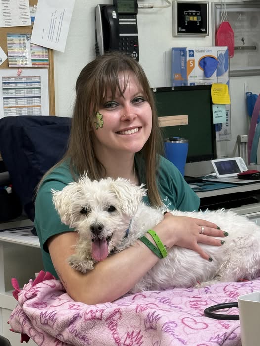 Images VCA Wingate Animal Hospital