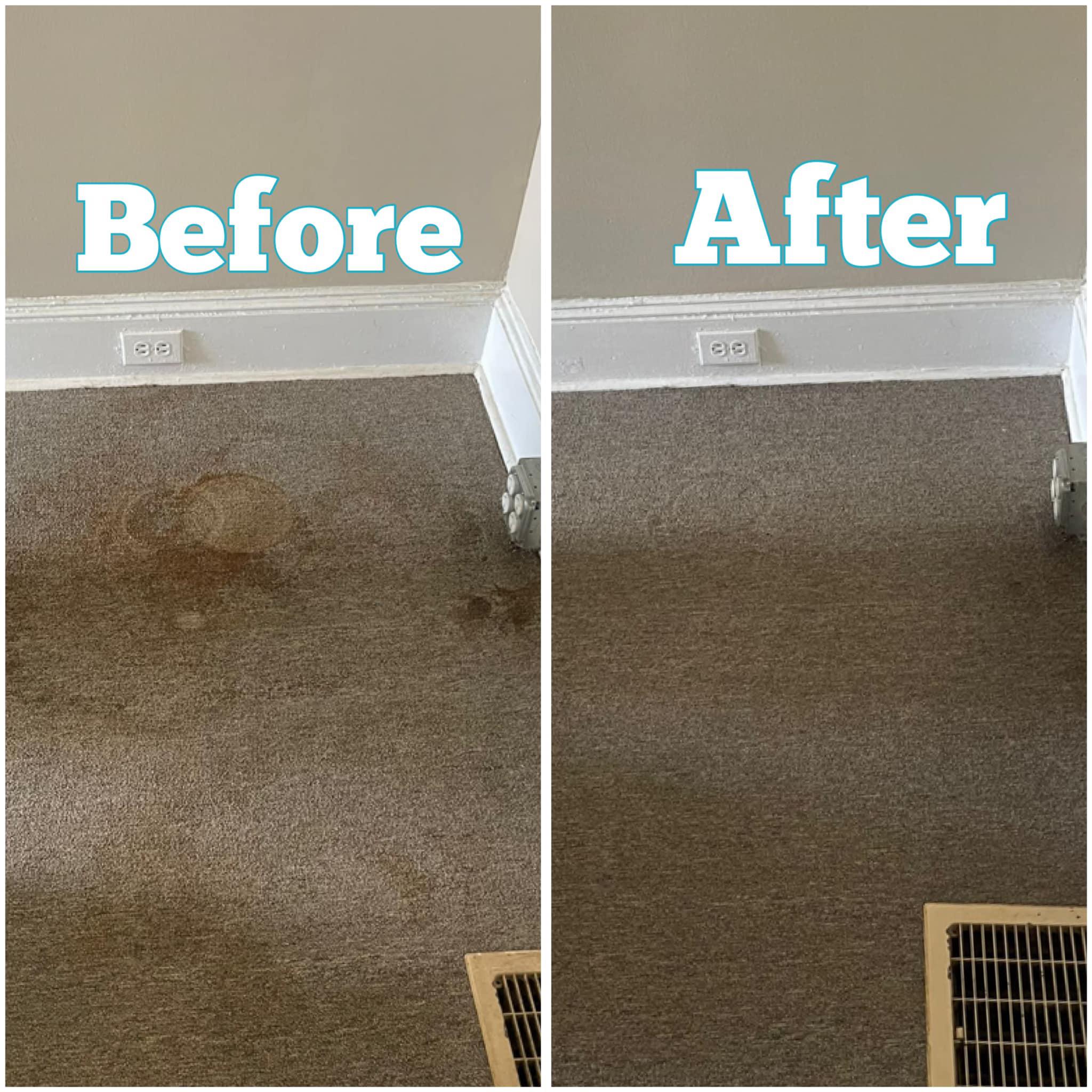 Expert Cleaning Solutions, LLC