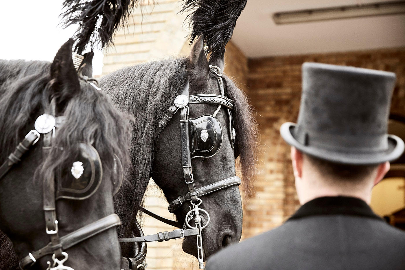 Walker & Morrell Funeral Directors horse drawn hearse Walker & Morrell Funeral Directors Washington 01913 386812