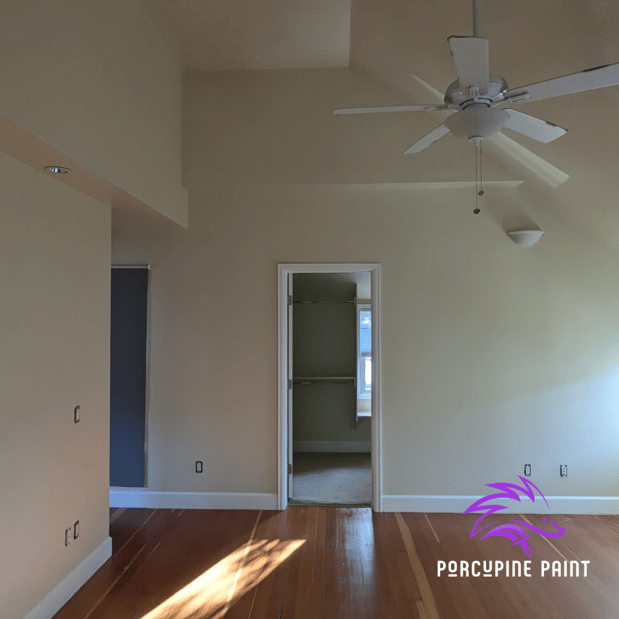 Images Porcupine Paint
