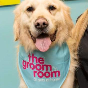 Pets at home craigleith fashion grooming