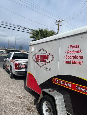 Images Las Vegas Pest Control