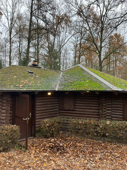 Dachservice 4you GmbH, Wehntalerstrasse 113 in Regensdorf