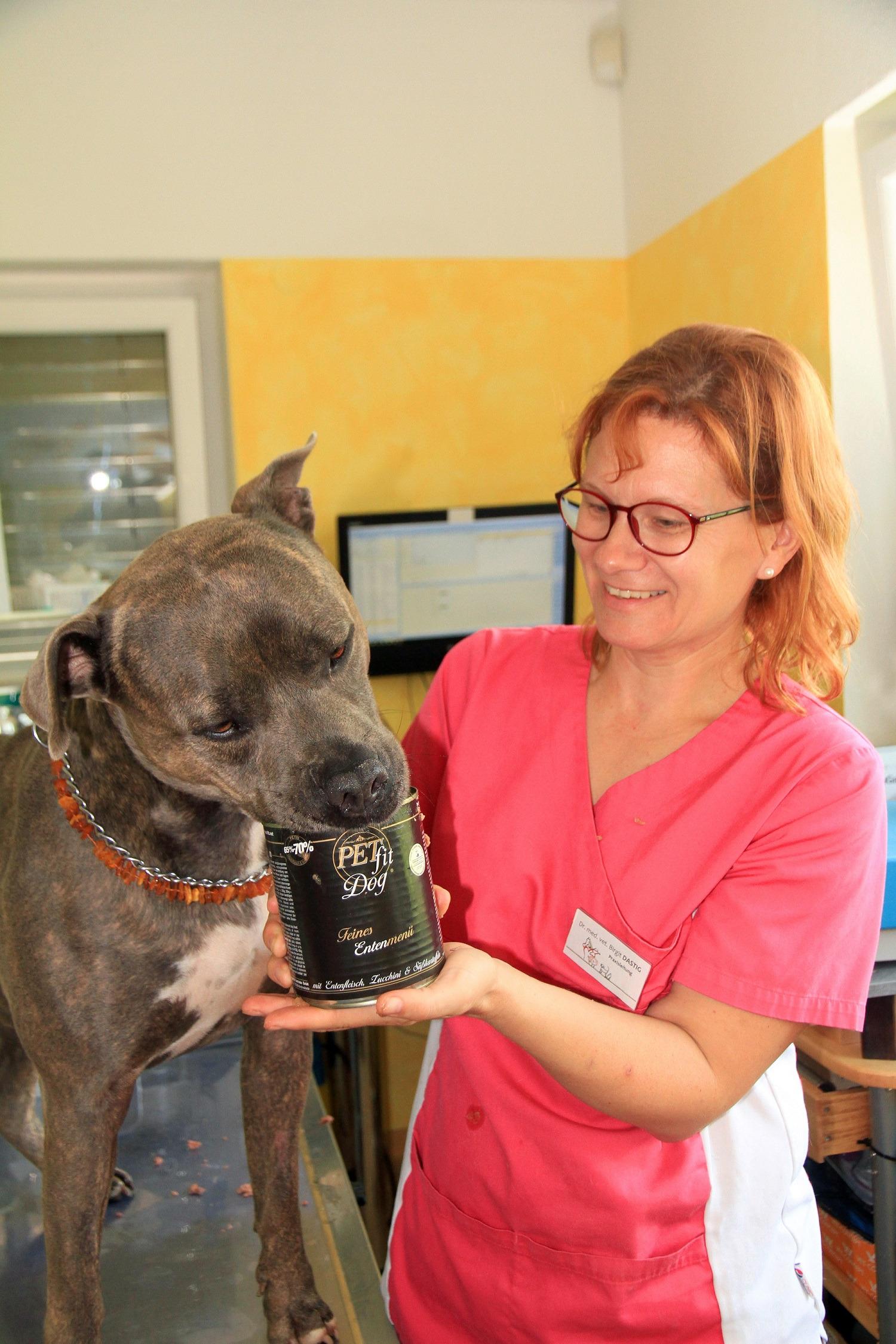 TGZ-Tiergesundheitszentrum GmbH Dr.med.vet. Birgit Dastig, Ragnitz 105 in Ragnitz