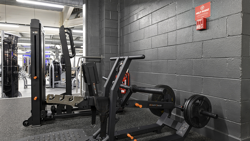 Glutes Area