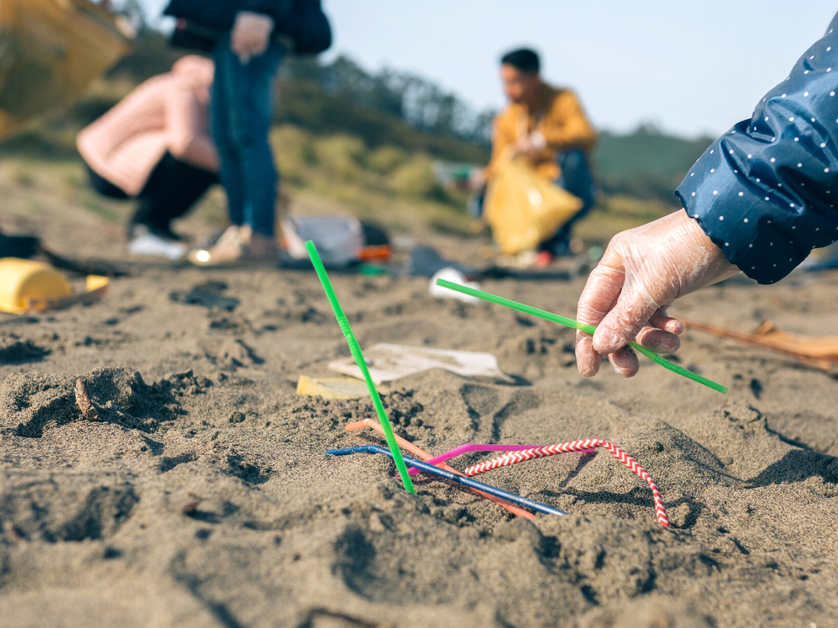 Today, we celebrate the joys of sustainability and gratitude.