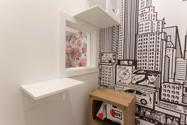 Images Cozy Cat Suites
