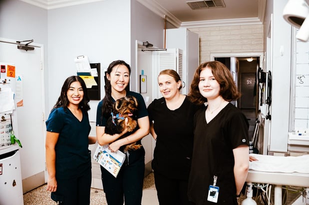 Images Imperial Animal Hospital