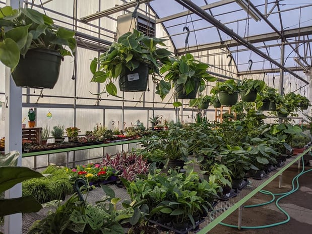 Images Grant Line Garden Center & Nursery