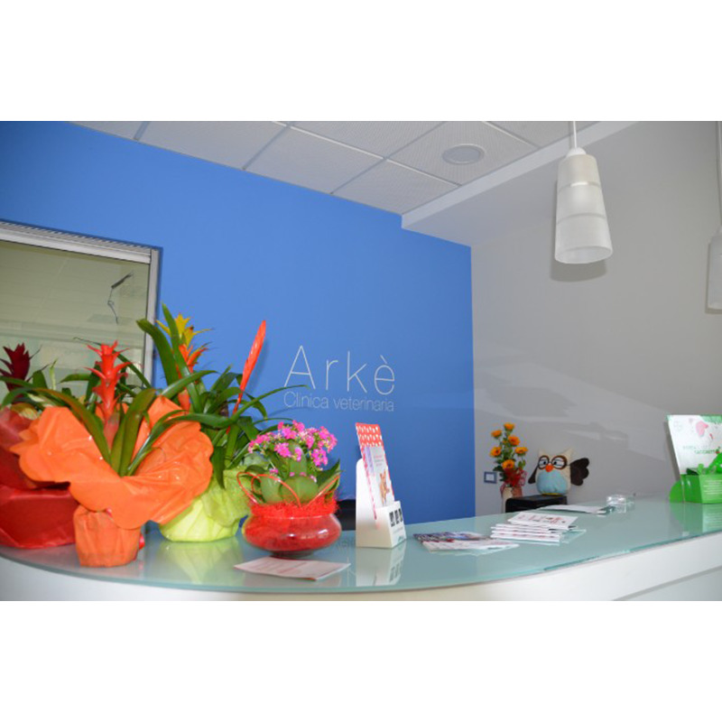 Images Clinica Veterinaria Arke'