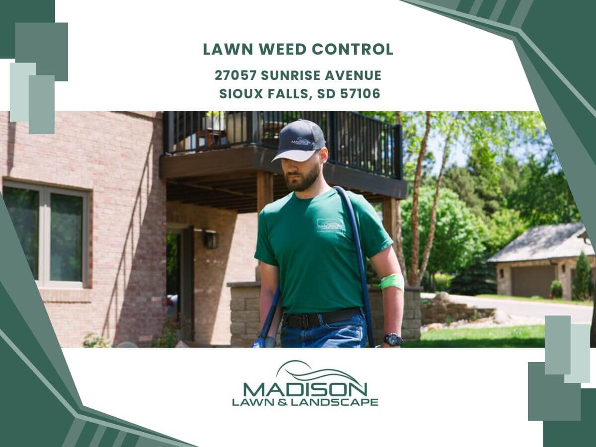 lawn weed control