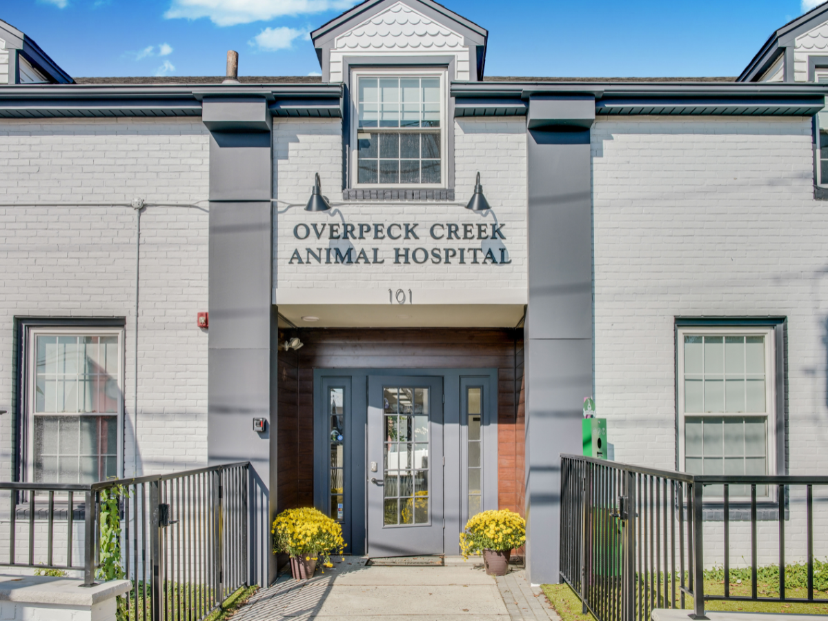 Beautiful Overpeck Creek Animal Hospital Entrance